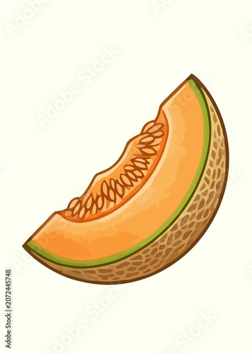 Cantaloupe Melon Fruit Botanical Illustration Set with Whole Fruit and Sliced Sections