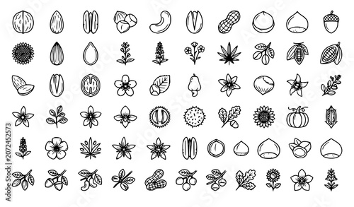 Photos Professional Nut and Seed Vector Line Icon Collection with Walnut Almond Pecan a