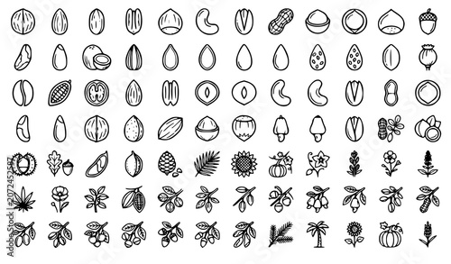 Photos Nut and Seed Line Icon Set with Walnut Almond Pecan and Organic Food Outline Sym