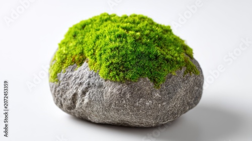 Lush Green Moss Growing on Smooth Stone Surface, Showcasing Nature's Beauty and Resilience in Earthy Tones and Textures for a Peaceful Atmosphere