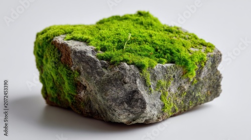 A Close-Up View of a Rock Covered in Lush Green Moss on a White Background, Showcasing the Beauty of Nature and the Intricacies of Small Eco-Systems