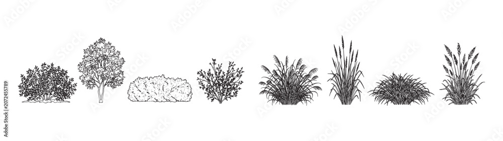 Fototapeta premium Landscape Bush Silhouettes Vector Set Garden Shrub Collection