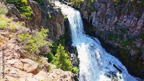 Undine Falls cascades through a rugged canyon in Yellowstone National Park surrounded by forest