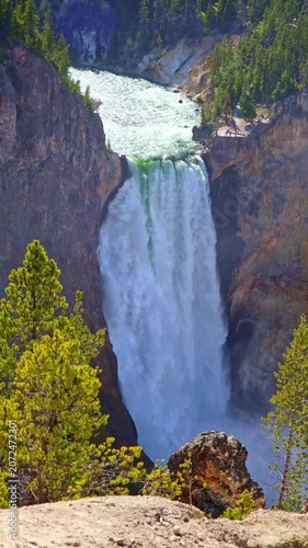 Lower Falls thunders into the Grand Canyon of the Yellowstone as seen from the South Rim Trail in Yellowstone National Park