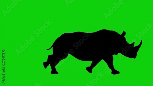 A black rhinoceros silhouette walks on a green screen