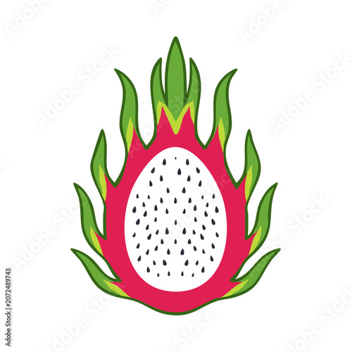 Red and green bell pepper flat illustration