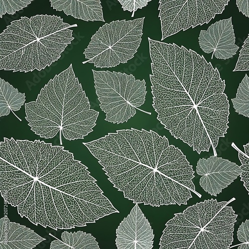 Close-up of green leafy plant texture pattern.