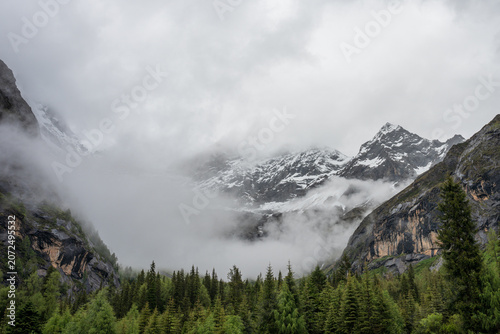 Natural scenery of mist-shrouded snow-capped mountains and spruce forests amidst the clouds on a cloudy day
