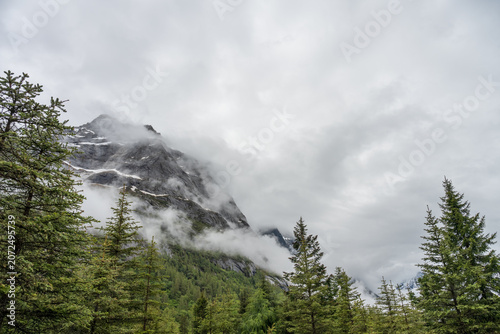 Natural scenery of mist-shrouded snow-capped mountains and spruce forests amidst the clouds on a cloudy day