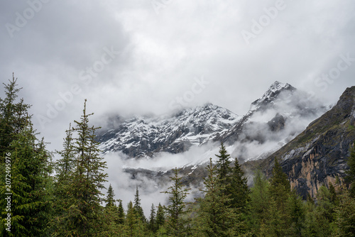 Natural scenery of mist-shrouded snow-capped mountains and spruce forests amidst the clouds on a cloudy day