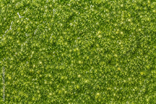 Pesto Pasta Sauce Background. Pasta Sauce Background.