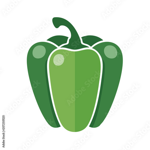 Green bell pepper flat illustration