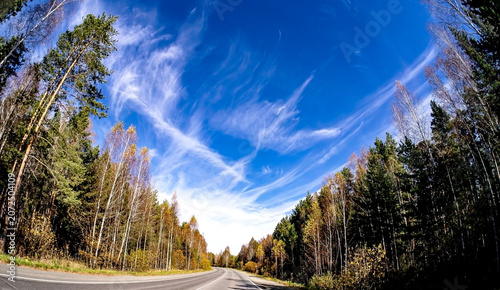 view of the autumn road from the windshield of a suburban car