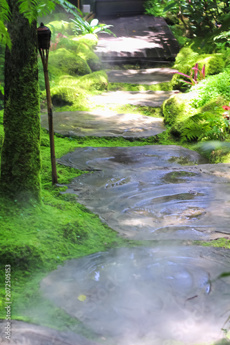 Walkway in colorful green garden