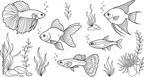Tableau sur toile Aquarium fish icon set vector outline collection with goldfish betta angelfish guppy seaweed underwater plant bubble marine element