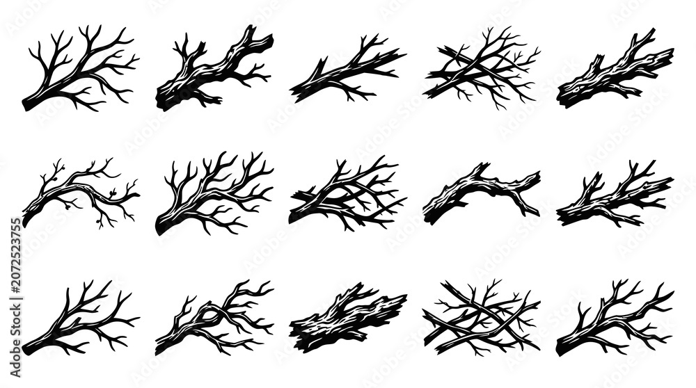 Obraz premium Nature Black and White Line Art Set of Bare Tree Branches and Dead Wood Twigs - Spooky Silhouette Collection