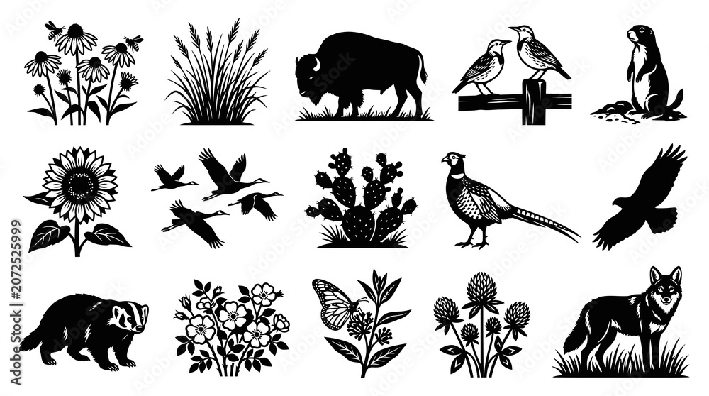 Fototapeta premium Wildlife and Nature Black White Engraving Style Icons Set: Bison, Badger, Birds, Flowers, Cactus, Prairie Dog