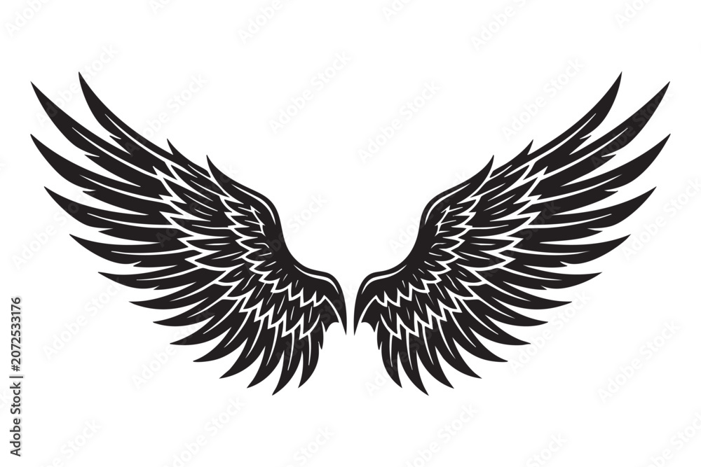Obraz premium Black wings illustration spread design element graphic vector