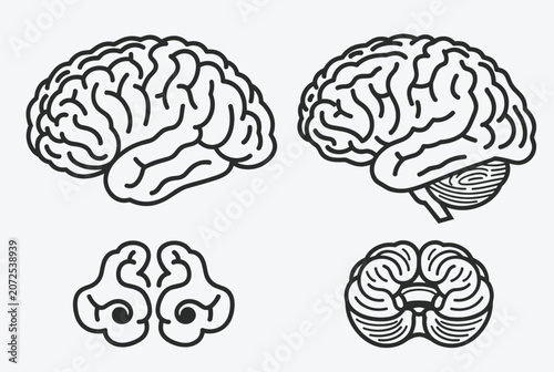 Set of four different anatomical views of the human brain in black line art style for medical education and neurological studies.