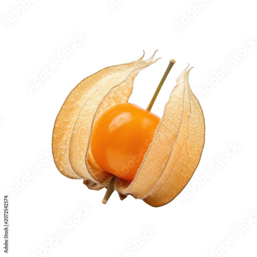 Fresh physalis fruit with husk isolated on transparent background