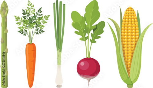 Foto Fresh organic vegetables vector set with carrot, corn, asparagus, radish and gre