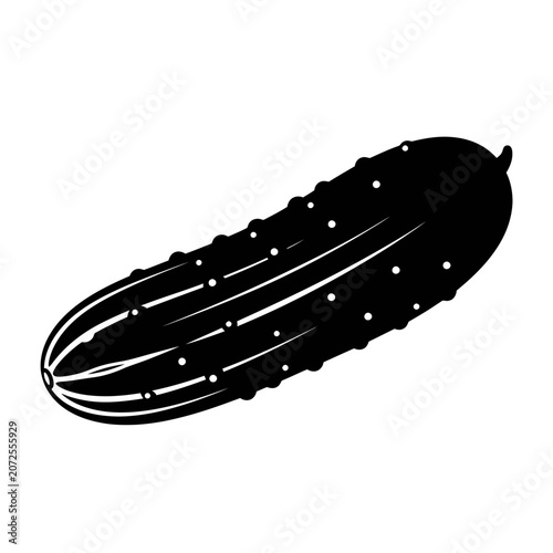 Minimalist Black and White Illustration of a Spiky Cucumber with Textural Details and Subtle Highlights in a Modern Artistic Style