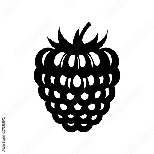 Elegant monochrome illustration of a detailed raspberry with intricate shading and pattern design suitable for artistic and