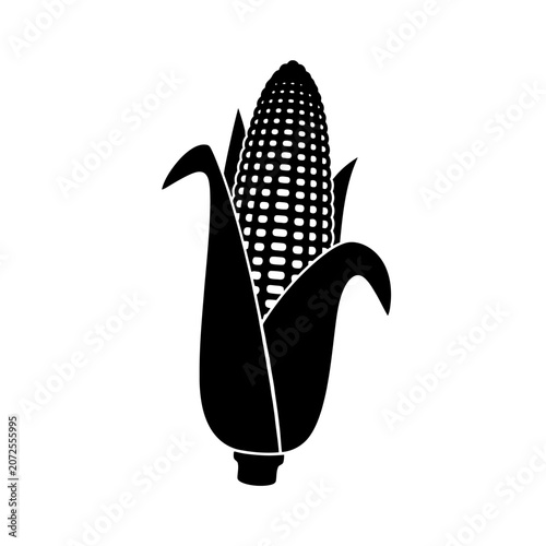Minimalist black and white illustration of a corn cob with stylized leaves and detailed kernels in a sleek modern design