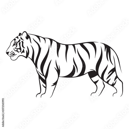 Black and white illustration of a tiger standing, facing left, with bold stripes on its body.