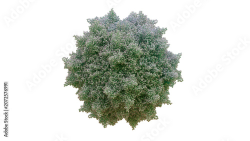 Obraz na plátně 3D AAV1 Adeno-Associated Virus1 capsid　60-mer Icosahedral Replication-defective Non-pathogenic, high tropism skeletal muscle, heart, CNS