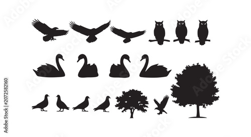 Collection of bird silhouettes including eagles owls swans and pigeons with trees isolated for design work vector.