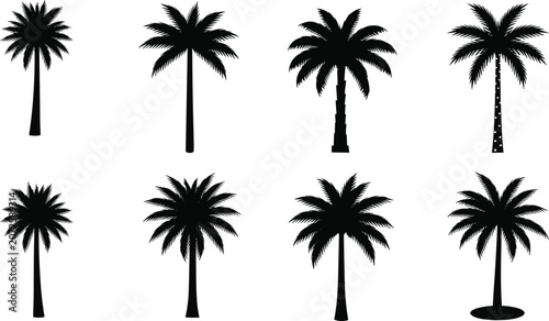 Photos Palm tree silhouette set, tropical vector, black tree icons, summer design, bota