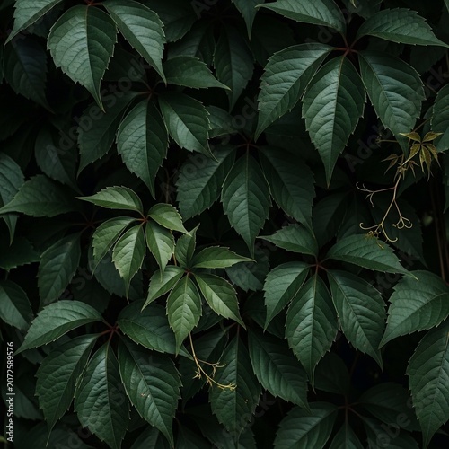 Verdant Veil: A Study in Deep Greens