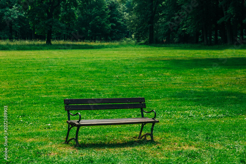 Lonely park bench on green lawn with forest behind, summer, peaceful, nature