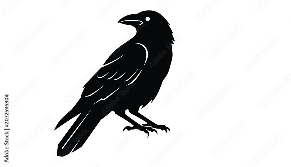 Fototapeta premium Black silhouette of a crow or raven standing in profile view, isolated on a clean white background with detailed feather highlights.