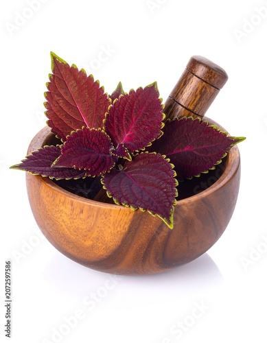 Plant leaf inside wooden mortar with pestle isolated on white background