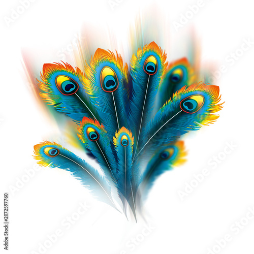 Exotic Peacock Feathers Artwork with Bright Eye-Spots and Golden Hues Beautifully Arranged on a Deep Black Background Striking Ornamental Design