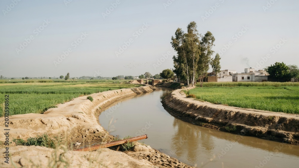 Fototapeta premium Irrigation canal flows through lush green agricultural fields under a clear morning sky in a rural countryside landscape.