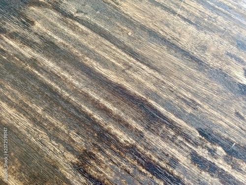 texture of wood background 
