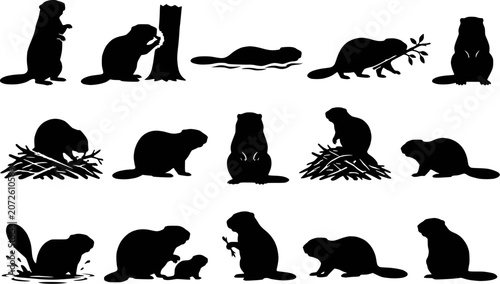 Fotografía Beaver wildlife gnaw tree swim dam lodge branch cub splash canada silhouettes ve