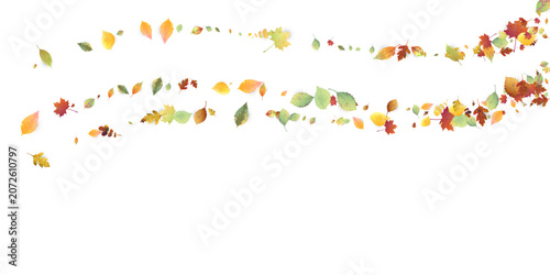 Leaves Falling. Autumn Flying Foliage. Chaotic Green, Yellow, Red Leaf Flying On White Background. Forest Design, Nature Elements. Ecology Vector Illustration. Environment Backdrop.