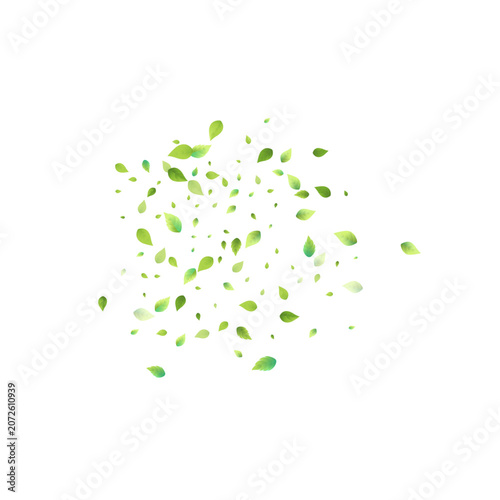 Leaves Green Falling. Spring Flying Foliage. Chaotic Leaf On White Background. Ecology Design, Nature Elements. Spring Sale Vector Illustration. Greenery Environment Backdrop.