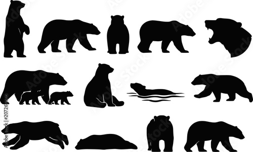 Bear polar grizzly wildlife stand walk sit swim run cub family silhouettes vector set isolated