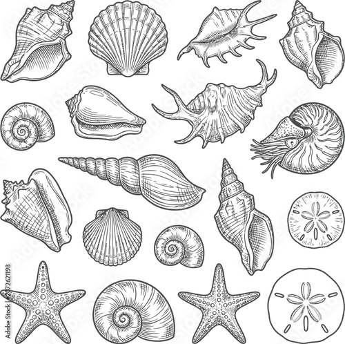 Seashells Icon Set with Engraved Line Art, Spiral and Starfish Shapes for Marine Themed Vector Illustrations