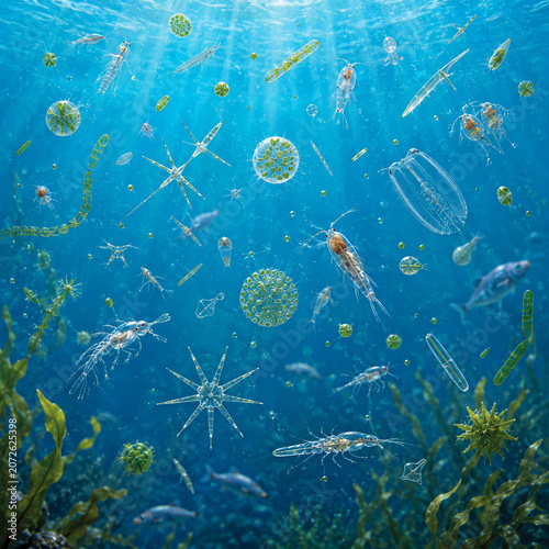 Microscopic Plankton and Marine Life Floating in Deep Blue Ocean Water