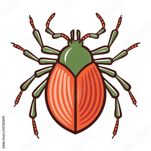 Orange and green butterfly vector illustration