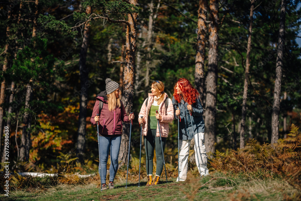 Fototapeta premium Women friends hiking in forest enjoying autumn nature