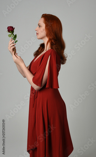 close up portrait of beautiful model with long red hair, wearing an elegant red modern dress. standing pose holding a romantic red rose, isolated figure on studio background.
