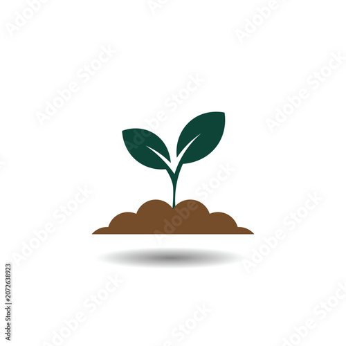 green plant growing from soil