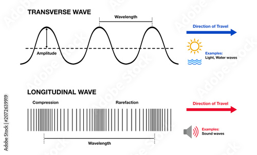 Educational infographic comparing transverse and longitudinal waves, illustrating wavelength, amplitude, compression, rarefaction, and wave propagation direction for physics and science learning